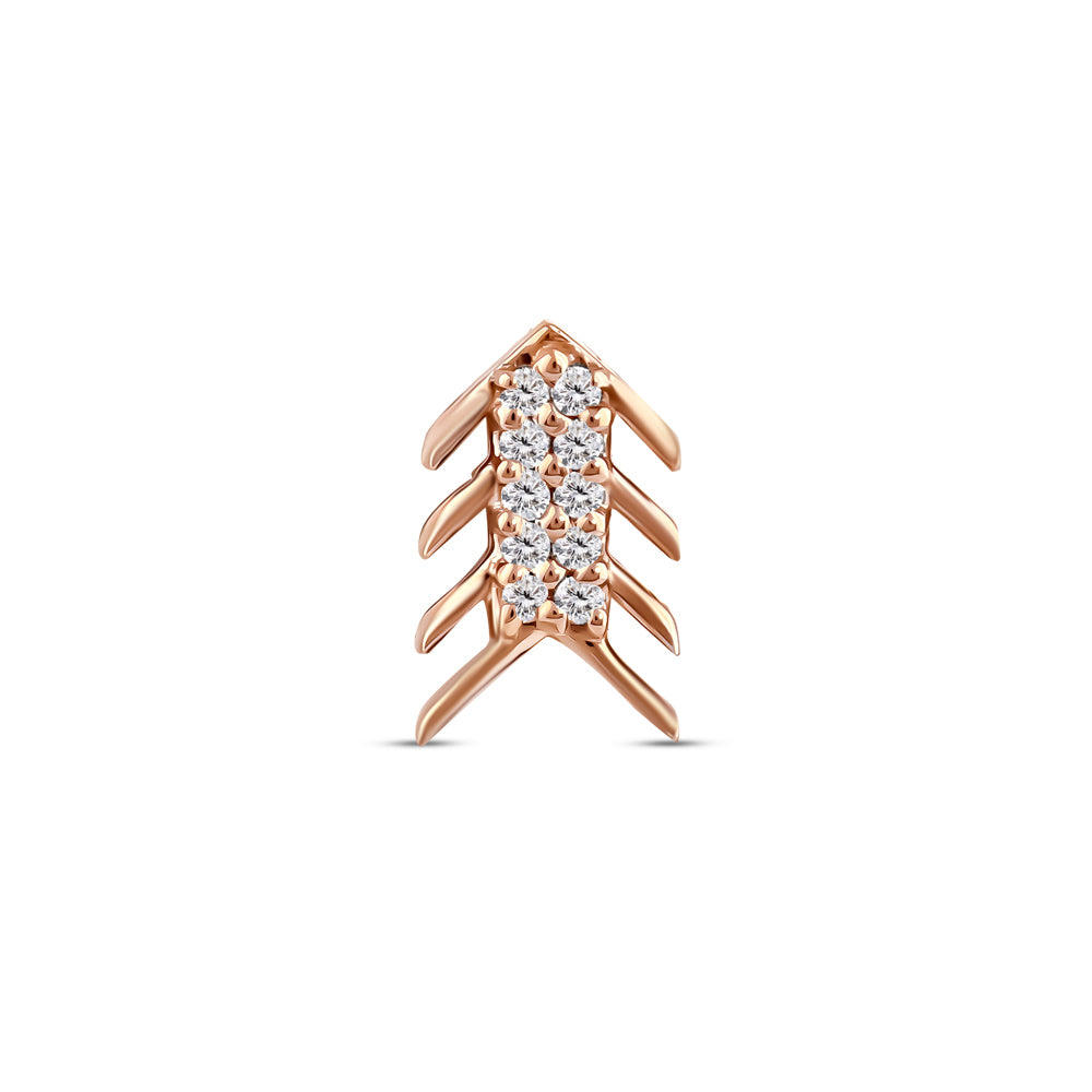 Tragus Piercing