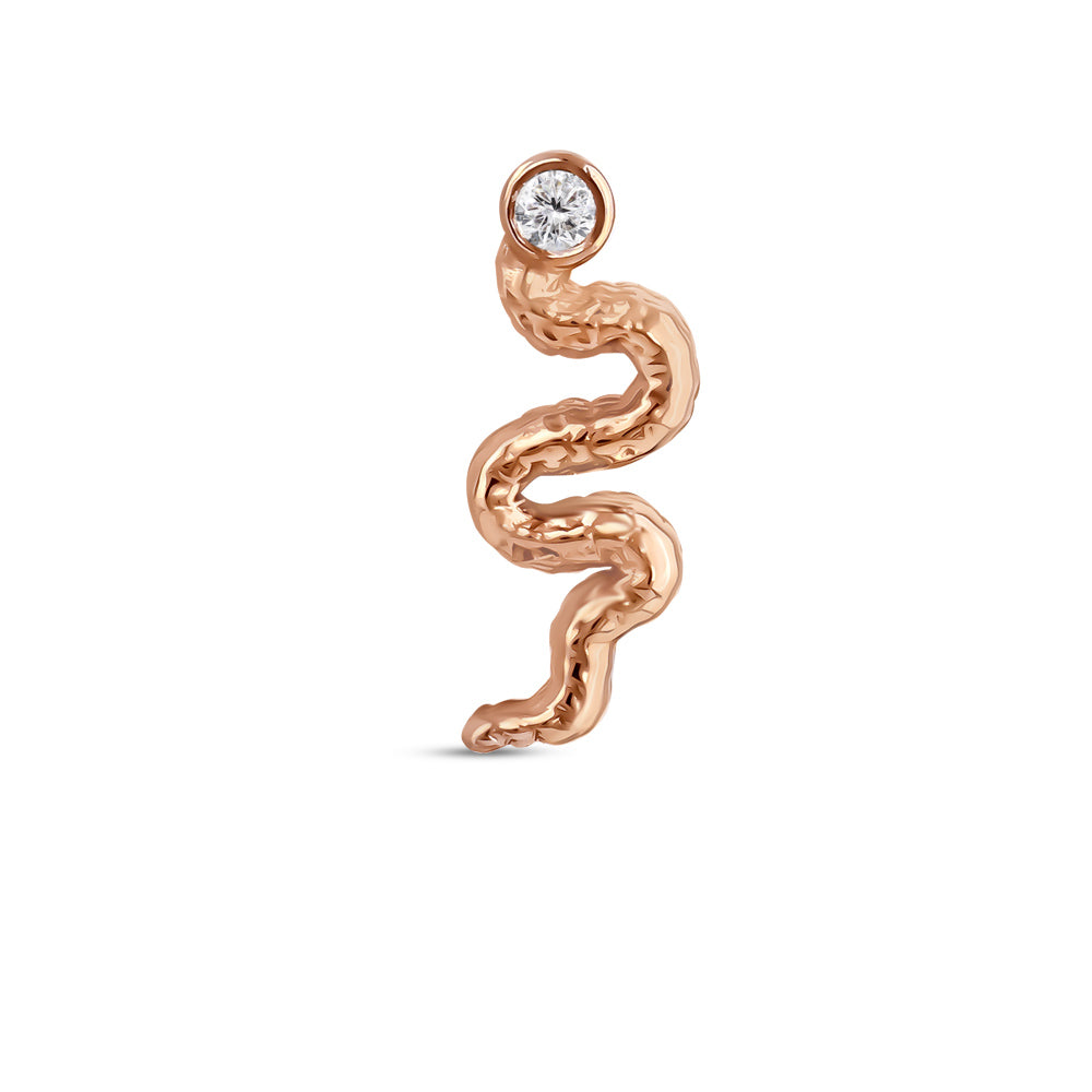 Tragus Piercing