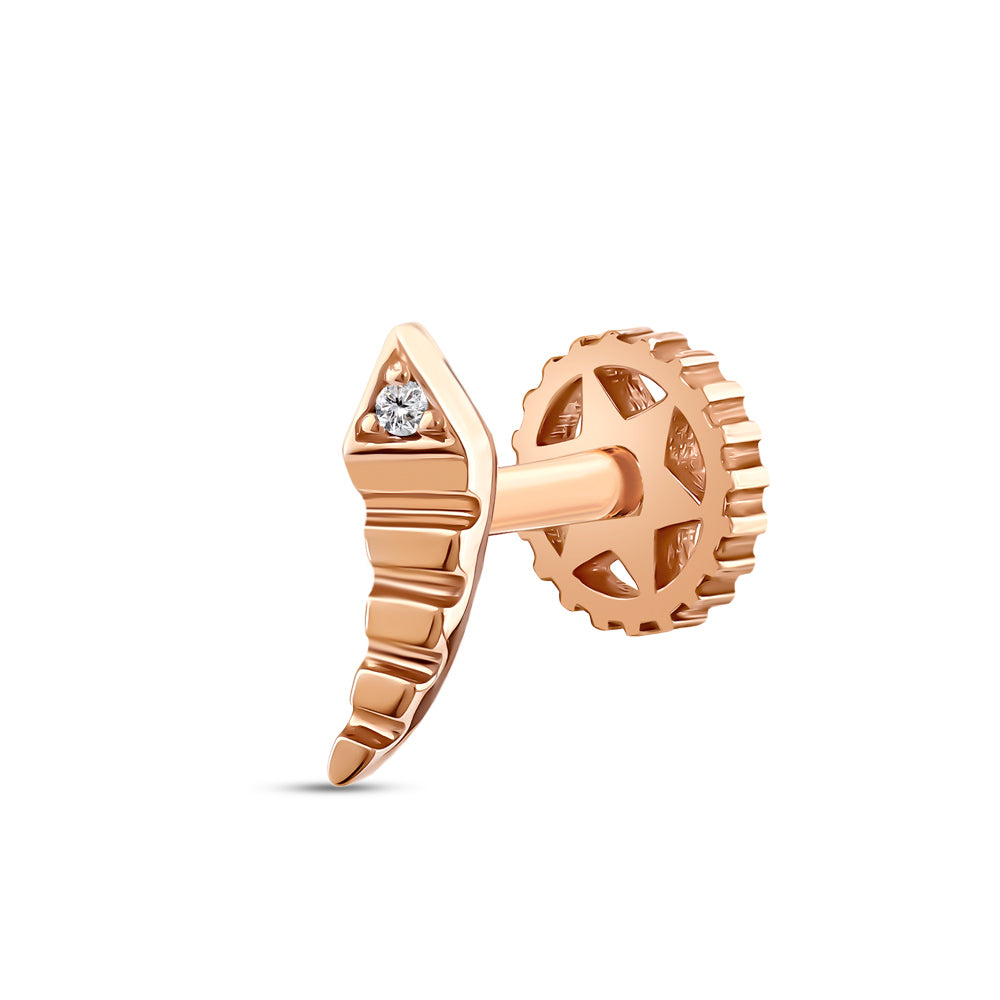 Tragus Piercing